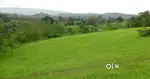 Plot for sale 2 dismil dis and 1 dismil gm land