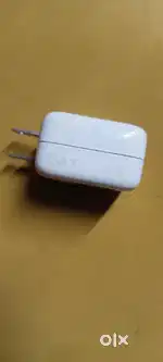 Apple original charger 10 wa