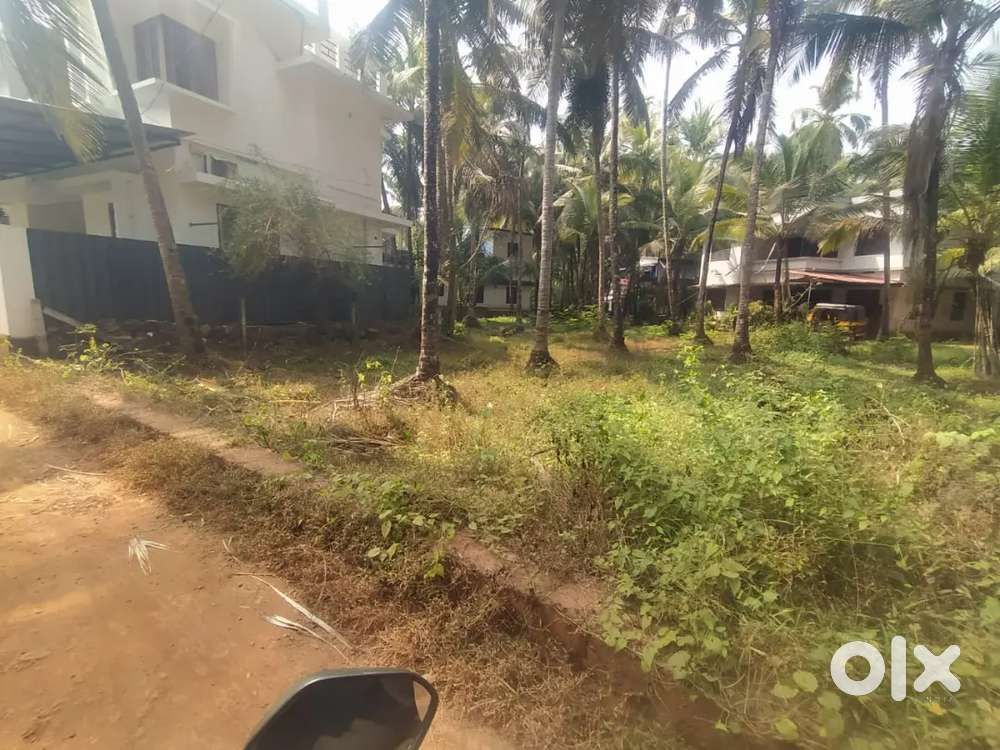 14 cent house plot with road near Irinave hindu LP school
