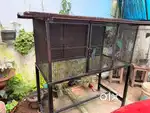 Bird cage.