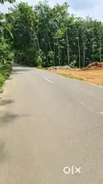 രാമപുരം കൂത്താട്ടുകുളം റോഡിന് സമീപം ഹൗസ് പ്ലോട്ടുകൾ വിൽപ്പനയ്ക്ക്