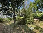 23 cent land for sale