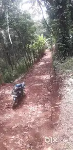 Vattapara kanakkode