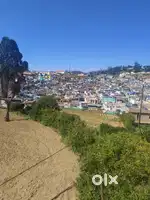 Ooty Approved land