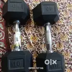 10 kg dumble