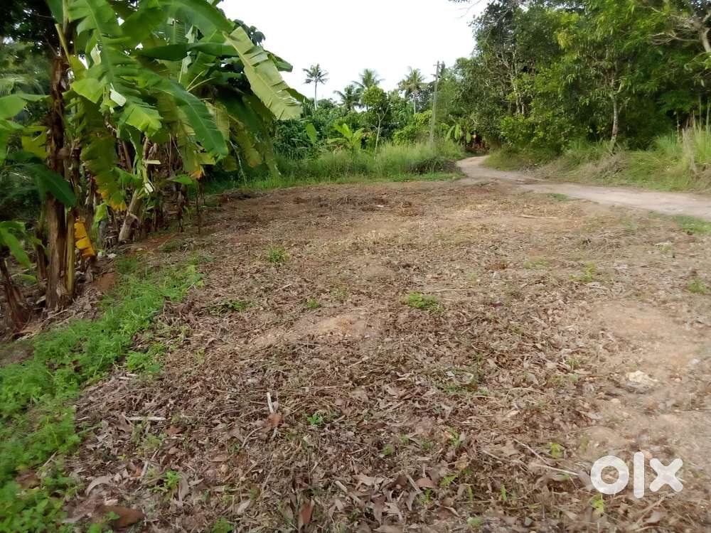 10 cent property sale near green field stadium