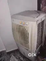 Cooler fan