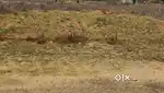 Site for sale