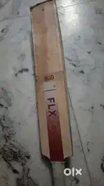 Kashmir willlow cricket  bat