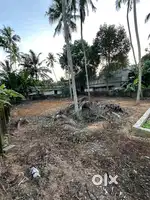 8.75 Cent plain land for sale near vetturoad kaniyapuram boys school