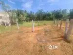Very reasonable price and at prime location plot
