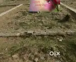 116 varg Gaj plot near barrier