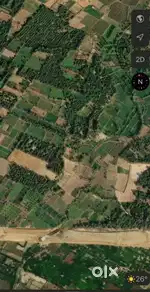 5 bigha property