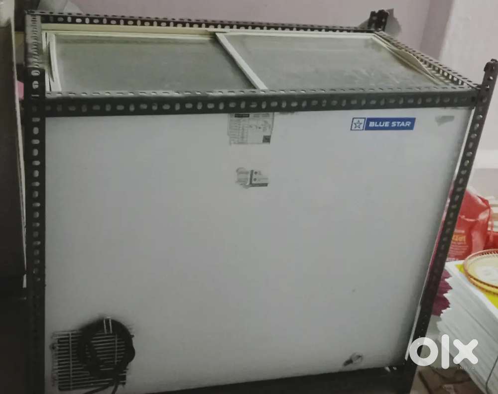 Bluestar Deep freezer