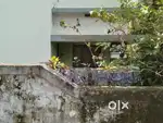 2Bhk house for rent in chevayur, Kozhikode.