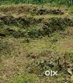 43 CENTS OF LAND FOR SALE - KONNI near MINI CIVIL STATION