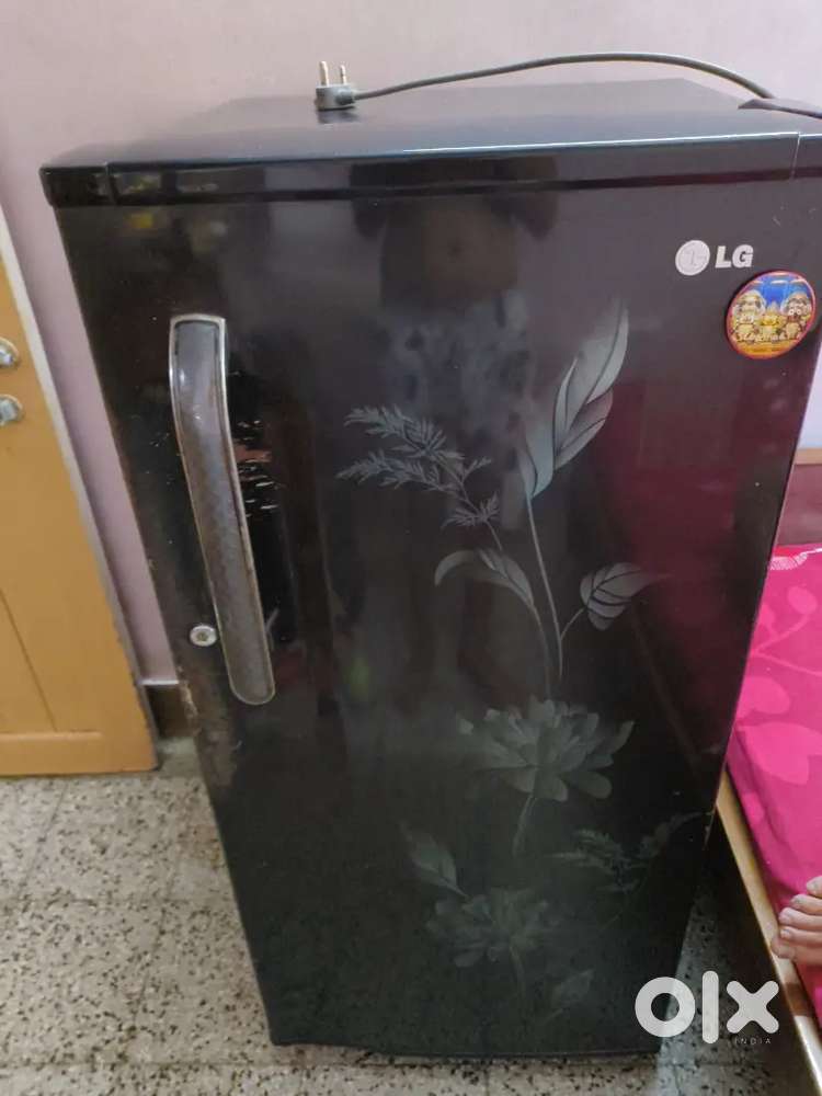 65 litre single door