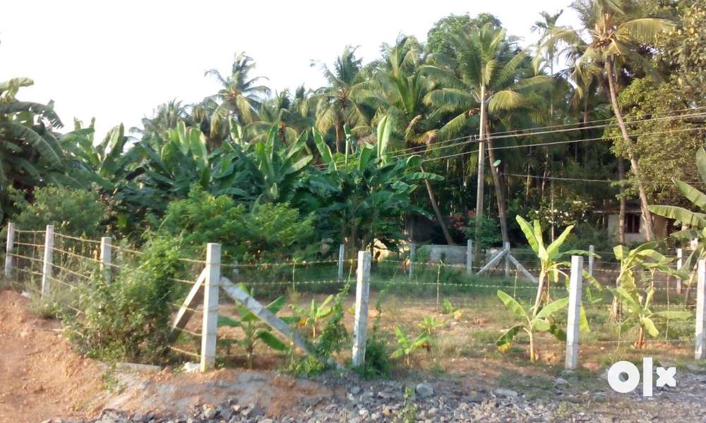 5 cent Land for  sale in Arimboor Thrissur
