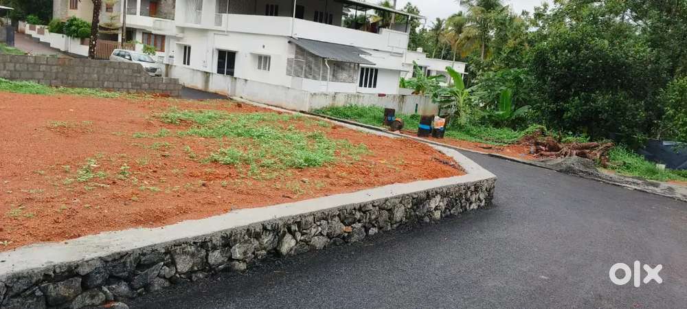 5,6, 8, 10 CENT PLOTS AVAILABLE ANGAMALY THURAVOOR