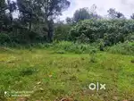 24 Cent Level Plot with Road Frontage – Choothupara, Wayanad 2