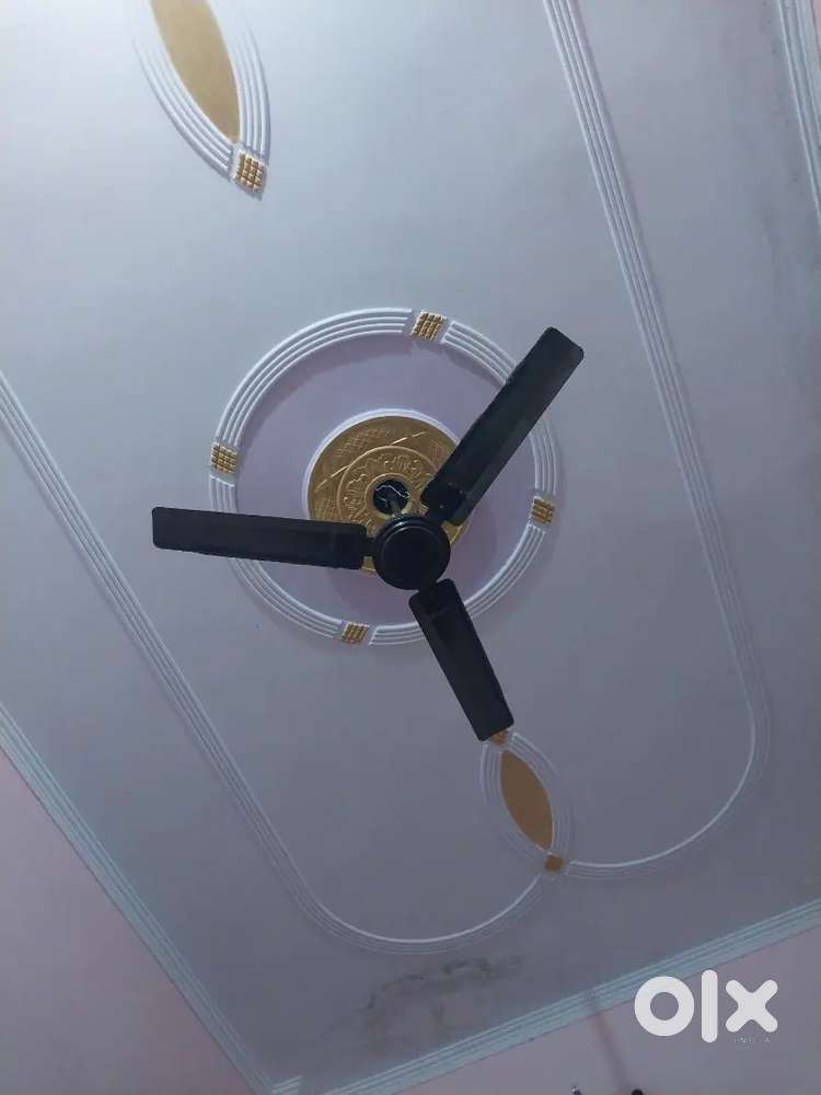 Need a Room partner in kankhal