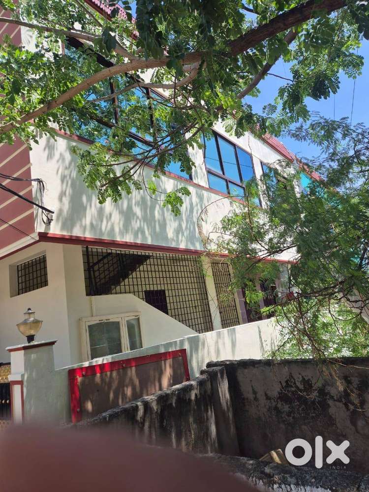 Renting whole individual house