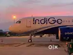 Airlines Vacancy Available For Ground Staff Jobs In IndiGo Airlines