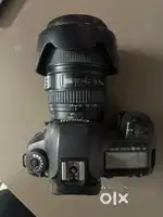 Canon 5DSR + Premium Lenses (Excellent Condition)