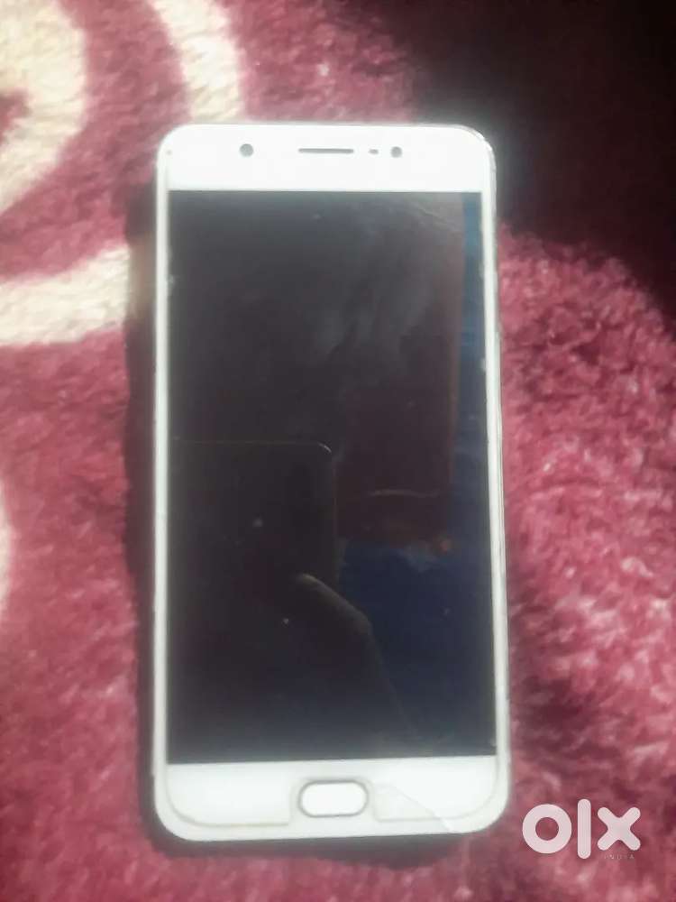 Vivo  vivo is the best