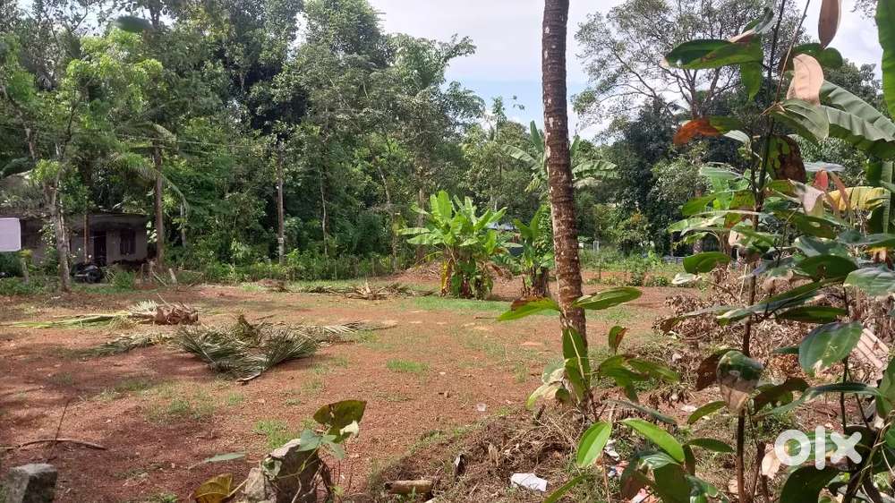 20 സെൻ്റ് സ്ഥലം വിൽപ്പനയ്ക്ക്