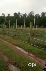 4.5 bigh khet