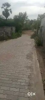 Thoothukudi collector office back side land for sale