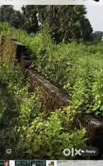 On road property 50 dismil land in dhanbd baliyapur road