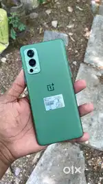 12GB RAM /256GB STORAGE