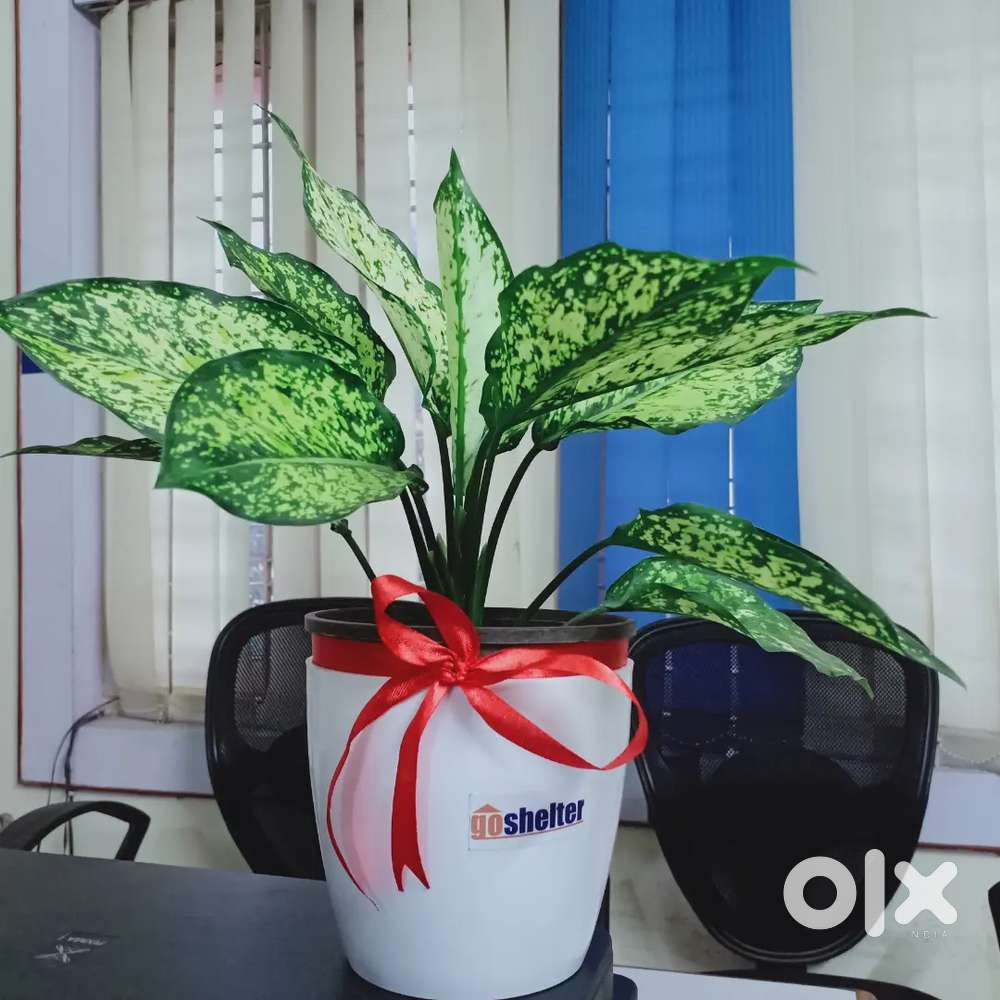 Hostel warden and supervisor job in Bhubaneswar for Male & Female