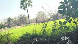 1 acra agricultural land for sale