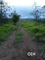 Plot sale in Ottakathalamedu view point