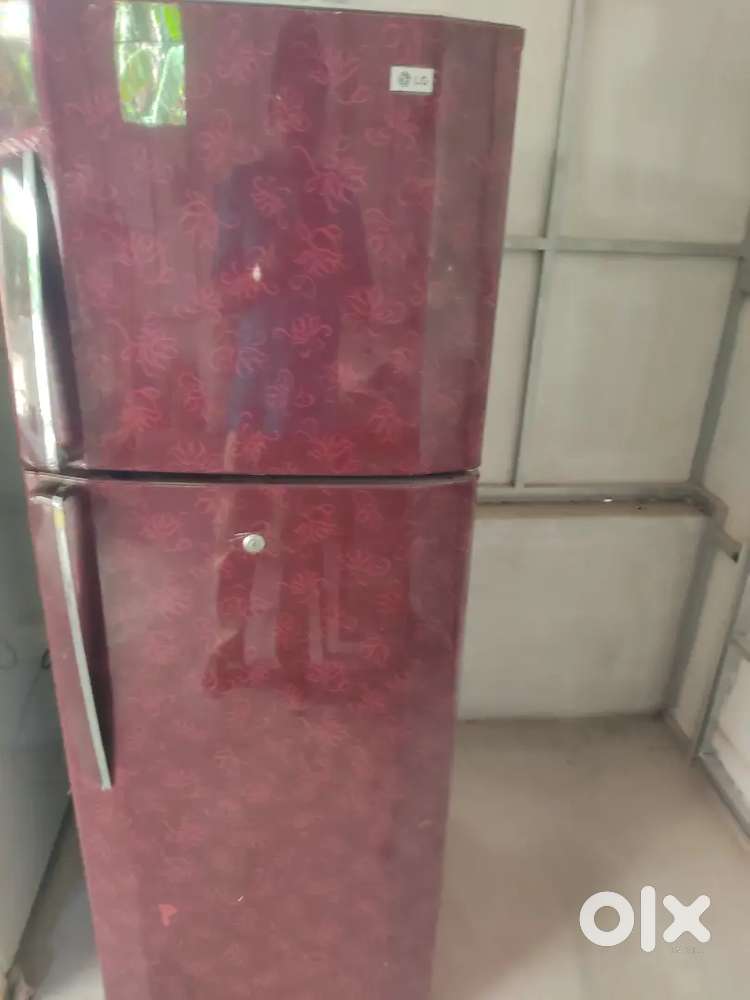 LG Double Door Fridge