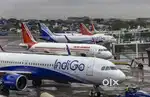 Various Jobs in Airport Ground Staff And Cabin Crew.
