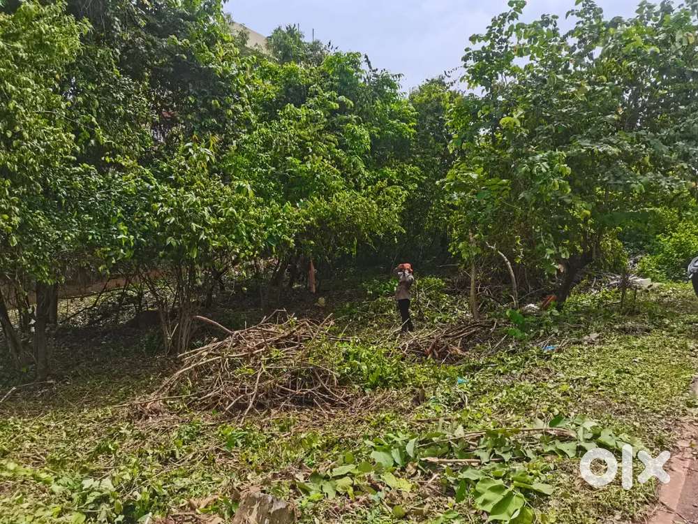 282 sqmt plot for sale with SANAD at Dabolim Goa