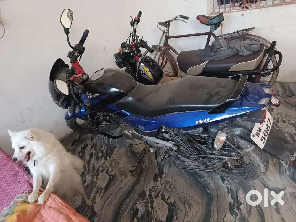 Bajaj Pulsar 150 model, indicated by the 150 decal on the side panel