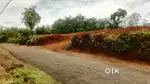 Kothamangalam Karukadam