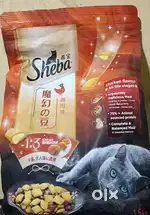 Cat food  available