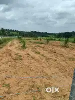 50 acres land for sale in Mysore district 26 lakh per