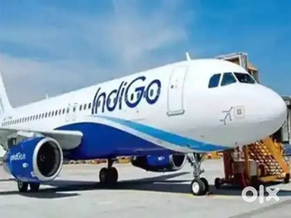Ticket Executive Vacancy Available For Ground Staff Jobs In IndiGo