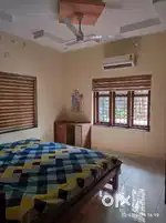 Paying guest for working women/girls