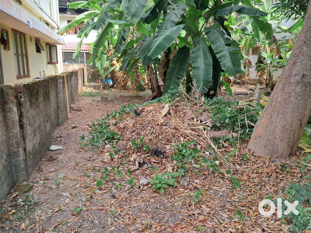 7 cents of Prime Residential Property, near Palarivattom