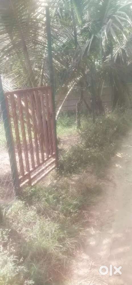 5 CENTS SALE @JUZ 3.6L KELAMANGALAM