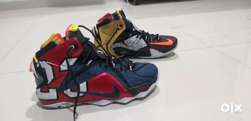 Nike Lebron (The Twelve) Rare collection Multicolour shoes UK 10 Size