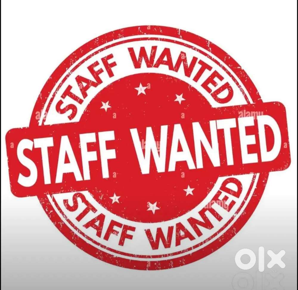 Lady Office Staff ( WFH) wanted.